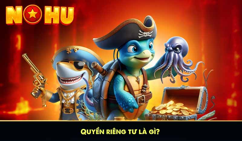 Quyền riêng tư là gì?